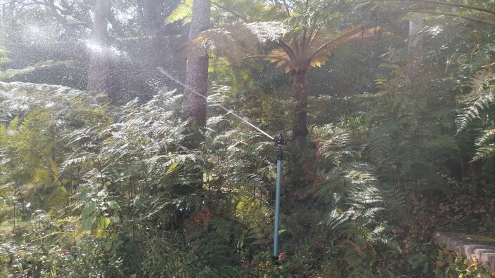 An image of an irrigation sprinkler