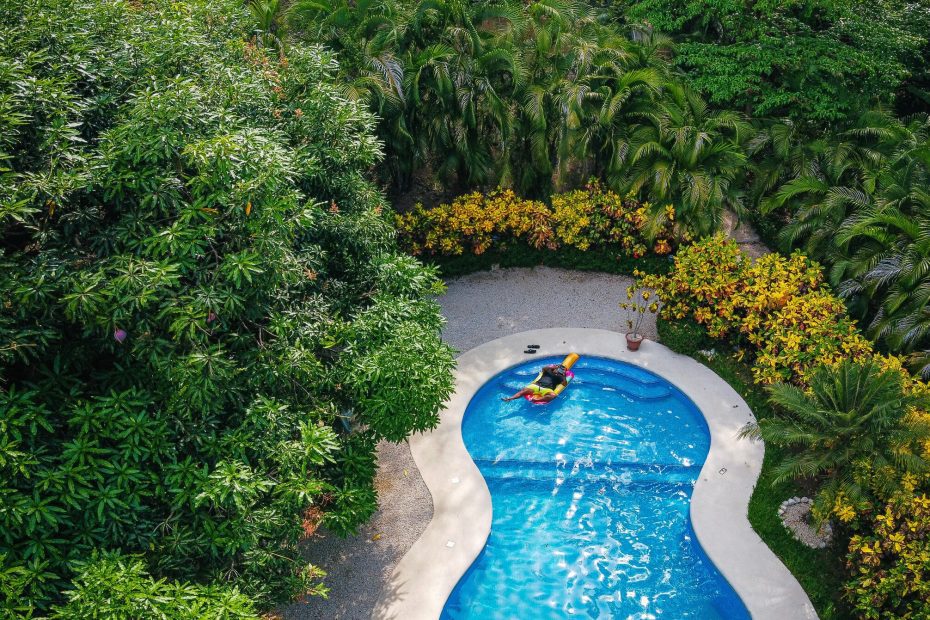 A swimming pool in a garden