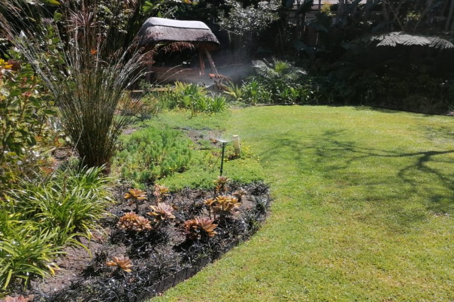 A garden with irrigation