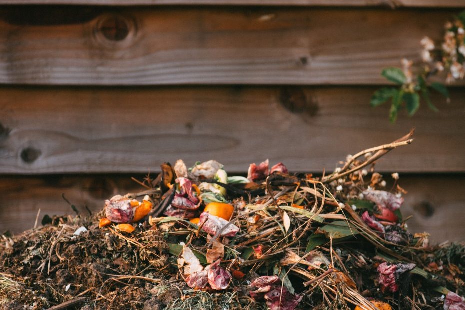 TIPS FOR BUILDING A THRIVING COMPOST HEAP