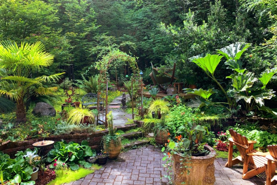 An image of a beautiful, lush garden