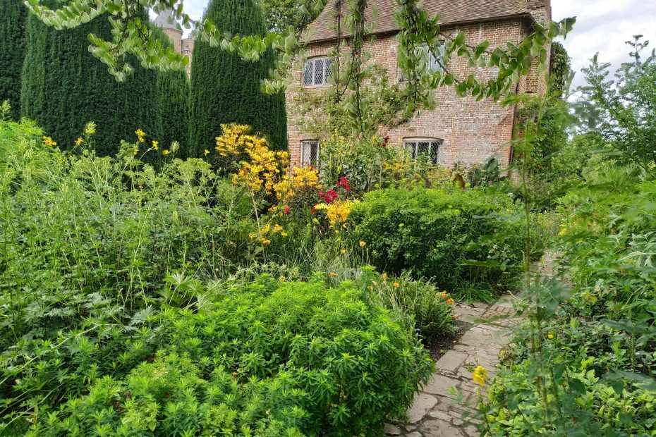An image of a herb garden